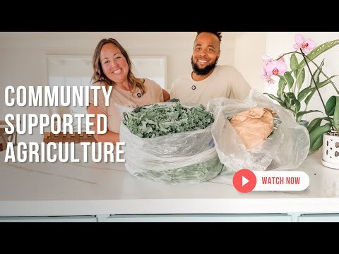 Affordable Way to Eat Organic