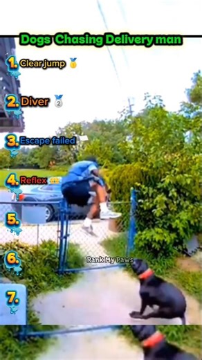 Dogs chasing delivery man. #dogs #funny #shorts #edit #funnyclips
