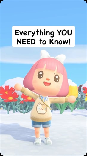 Tiger 🌷 Animal Crossing + Cozy Gaming on Instagram: "New Horizons Switch 2 Edition EXPLAINED! 🏝️🎮 #acnh #animalcrossing #animalcrossingnewhorizons #gaming #nintendo"