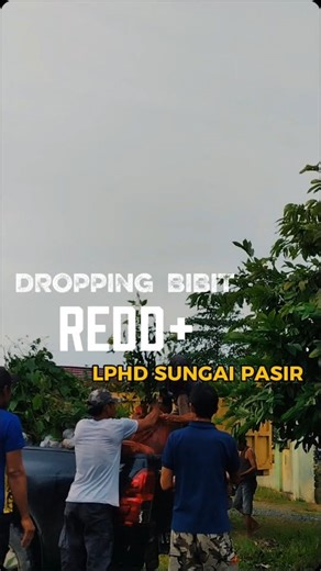 𝑲𝑬𝑺𝑨𝑻𝑼𝑨𝑵 𝑷𝑬𝑵𝑮𝑬𝑳𝑶𝑳𝑨𝑨𝑵 𝑯𝑼𝑻𝑨𝑵 (𝑲𝑷𝑯) on Instagram: "Menanam pohon, menanam harapan! 🌳✨ ​Alhamdulillah, hari ini 5.600 bibit dari program REDD+ sudah mendarat dengan aman di LPHD Sungai Pasir. Paket lengkap mulai dari Cengkeh, Jengkol, sampai Durian siap menghijaukan lahan kita. ​Sebelum ditanam, bibit-bibit ini akan "diistirahatkan" dan dirawat dulu oleh kelompok tani agar tidak stres dan siap tumbuh subur. Semoga kelak hasil panennya melimpah dan membawa berkah bagi warg