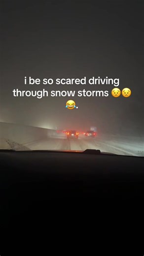 Confronting Michigan Snowstorms on the Road