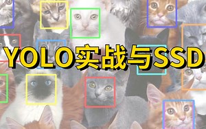 【顶级教程】绝对通俗易懂！最详细经典目标检测算法之YOLO和SSD详细解读！零基础小白必看！物体检测/人工智能/计算机视觉