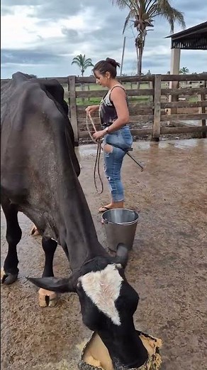 Real Cow Milking on Farm 🐄 | Fresh Milk Process in Village Life #villagelife #fishing