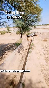 525K views · 8.3K reactions | Sutlej River Flow In March and In August | SutLej River in Flood Day | Moon Effect on SutLej Flow Bhakra Dam level Today Beas River Flood . Pong Dam Flood #pakistan_river_updates #SutlejRiver #BhakraDam #PongDam #BeasRiver #satlujriver | Pakistan River Updates دریاؤں کی تازہ صورت حال | Facebook