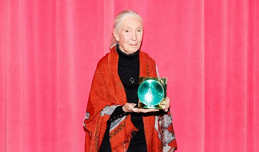 All About Jane Goodall's Son and Her 3 Grandchildren