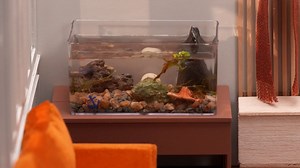 A Teeny Tiny Fish Tank DIY