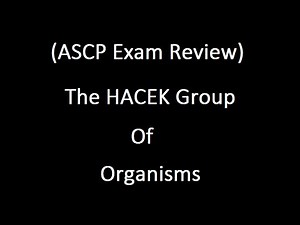 Preparing for the ASCP Exam [HACEK Group of Organisms]