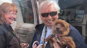 61K views · 5.6K reactions | The dogs are officially in their new home, for now, until each and every forever home is found. Take a look at the smiles seen on faces, both human and dog alike. Getting them back to the kennel and on solid ground is one of our favorite things to do. Celebrate with us, each and every face, paw, and wag. We couldn’t be happier to have them here with us! | National Mill Dog Rescue | Facebook