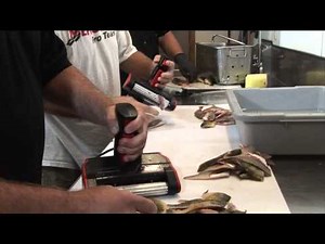 SKINZIT® Fish Skinner in Action