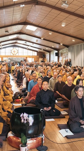 On June 10th we had a ceremony for the transmission of the Fourteen Mindfulness Trainings in Plum Village, France. These Fourteen Trainings outline a way of practicing harmoniously in the community that is followed by residents of all the international monastic practice centers in the Plum Village tradition. There are now more than 2,000 lay members of the Order of Interbeing active in local communities around the world. To learn more about the Fourteen Mindfulness Trainings and how they are bei