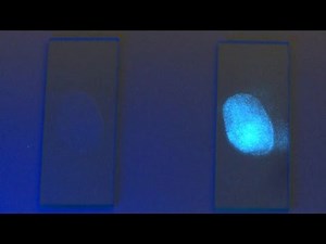 Fluorescent Visualization of Latent Fingerprint