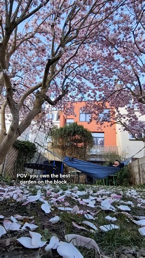 magnolia season 6 🌸📸