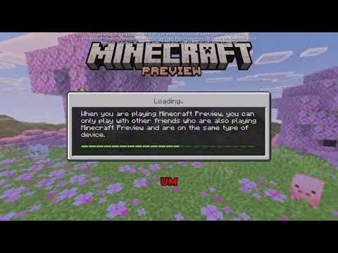 How to Get Minecraft Preview