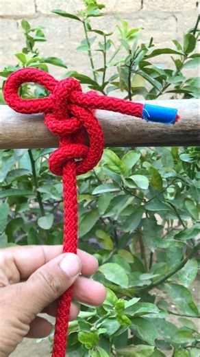 Genius Rope Knot Trick You Must Try!#knot #shorts 👍