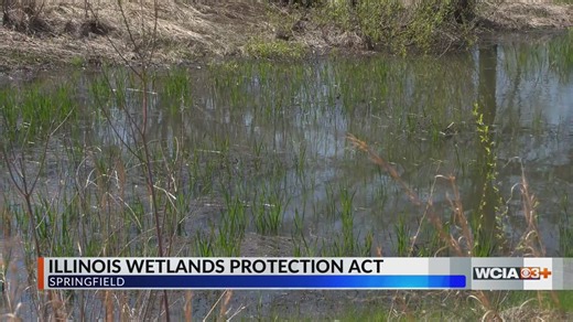 ‘Save Wetlands’ : Advocates rally for stronger protections at Illinois capitol
