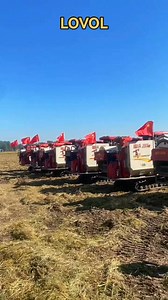 LOVOLSmall grouping harvesting | 马小龙
