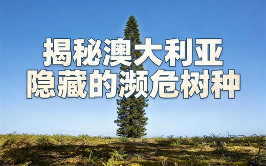 [中配]揭秘澳大利亚隐藏的濒危树种 - Wild Line