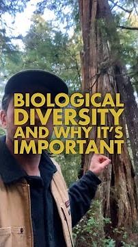 Biological Diversity and why its Important!
