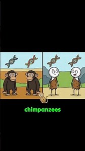 Why are humans so genetically similar