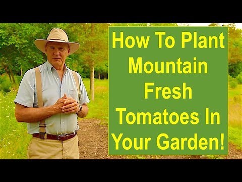 How to Plant Mountain Fresh Tomatoes in Your Garden!