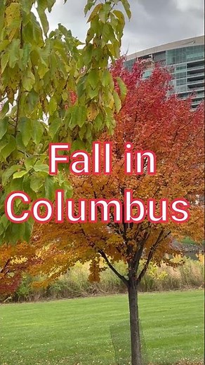 Fall in downtown Columbus