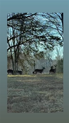 We know how to do a #newyearseveparty #birthcenter #birthcenterbirth #waterbirth #midwivesrock | Natural Beginnings Birth Center | Facebook