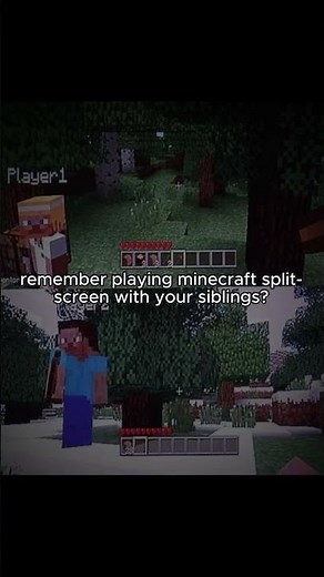 split screen minecraft was peak #minecraft #split