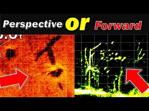 Fishing with Livescope 101: Perspective vs. Forward Mode