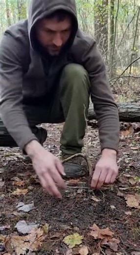 Trap Setting Tips That Save Lives #bushcraft #trap #survival