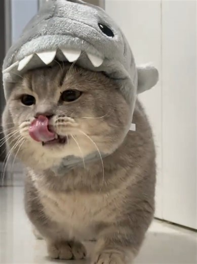 #foryoupage #livehighlights #parati #paratiiiiiiiiiiiiiiiiiiiiiiiiiiiiiii #fyp