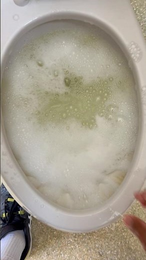 2000s American standard madera toilet siphoning out with soapy water!!!