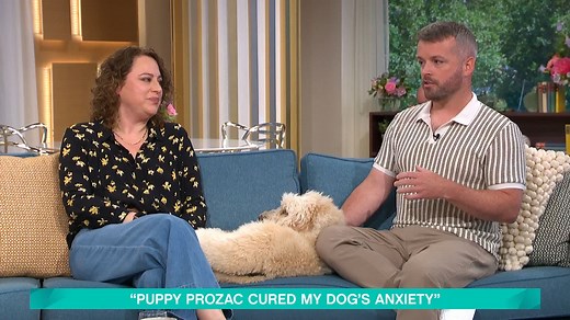 60K views · 152 reactions | Could ‘puppy Prozac’ help your pooch? Vets have reported a huge surge in prescriptions as owners have used the medication to help treat their dog's behavioural issues. Emma Reed, who says they've cured her cockapoo Chester of his social anxiety shares her story, alongside vet Sean McCormack. | This Morning | Facebook