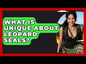 What Is Unique About Leopard Seals? - The Wild Life Explorer