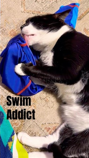 She LOVES swim clothes. Maybe the smell or the taste or pool water?!