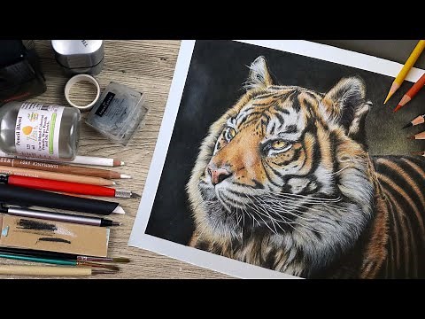 How to Draw a Tiger in Colored Pencil | Every Technique Explained!