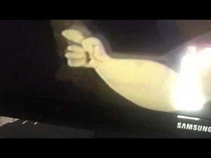 Opening to Peter Pan 1998 VHS