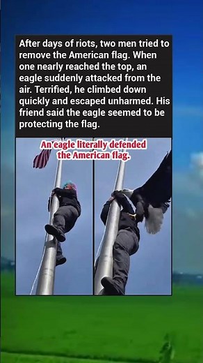 Eagle Attacks Man Trying to Remove American Flag — Shocking Moment Caught on Camera