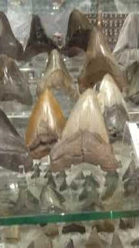 The Most Rare & Expensive Gems in the World