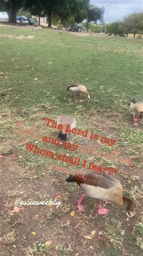 Essie Weekly on Reels