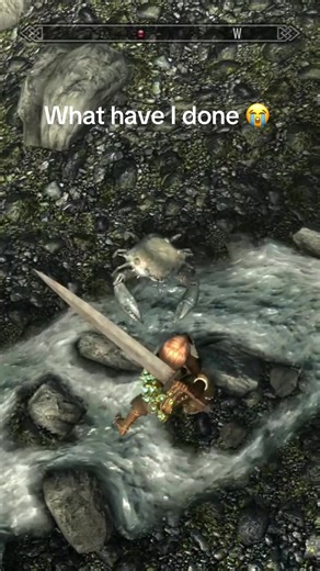 The Emotional Journey in Skyrim: A Memorable Moment