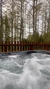 20K views · 27 reactions | Feeling pine in Glentress Forest, Peebles  Book your stay: forestholidays.co.uk  ruthie_rebz | Forest Holidays | Facebook