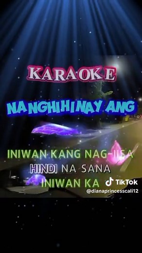 princessdiana121997@ on TikTok