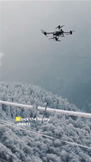 Most Satisfying Way to Clear Power Lines ❄️⚡