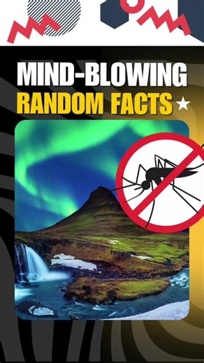 Did you know? 🤯 Get ready for a mind-blowing dose of random facts! From the weird to the wonderful, Knowledge Niblets delivers quick, fun, and fascinating facts that make you go,