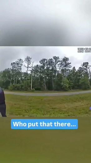 5.6K views · 392 reactions | Have Proper Traffic Control… #reels #reaction #traffic #accident #safety #educational #viral #police | Trafficlightdoctor Steven | Facebook