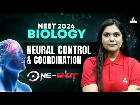 Neural Control and Coordination Class 11 One Shot | NEET 2024 Biology | Garima Goel