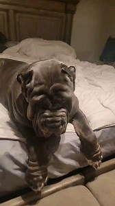 311 reactions · 14 comments | Good Girl Mamba | TOAD | Facebook