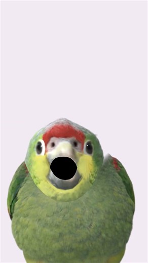 берите звук.😆😆😆😆😆😆😆😆😆😆