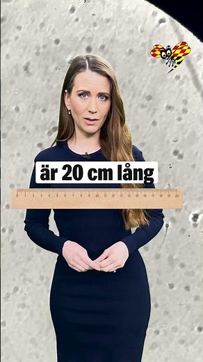 Världens första spermie-race avgörs i Los Angeles