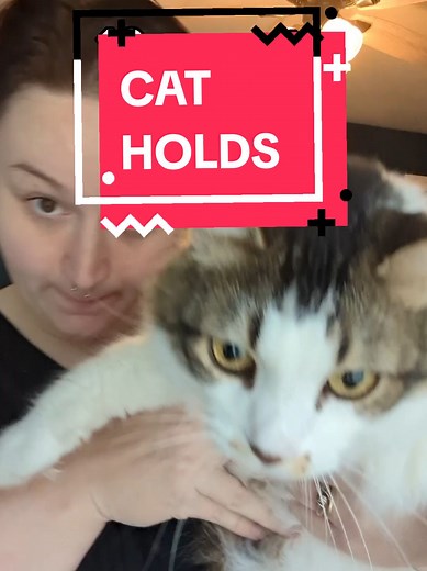how to hold a cat disclaimer this is for goofs if you actually want to know how to pick up a cat the proper way check out my practical skills playlist don't blame me if you end up parting ways with your flesh my cats are very chill and compensated with treats for their time ok bai #cats #cattok #kitten